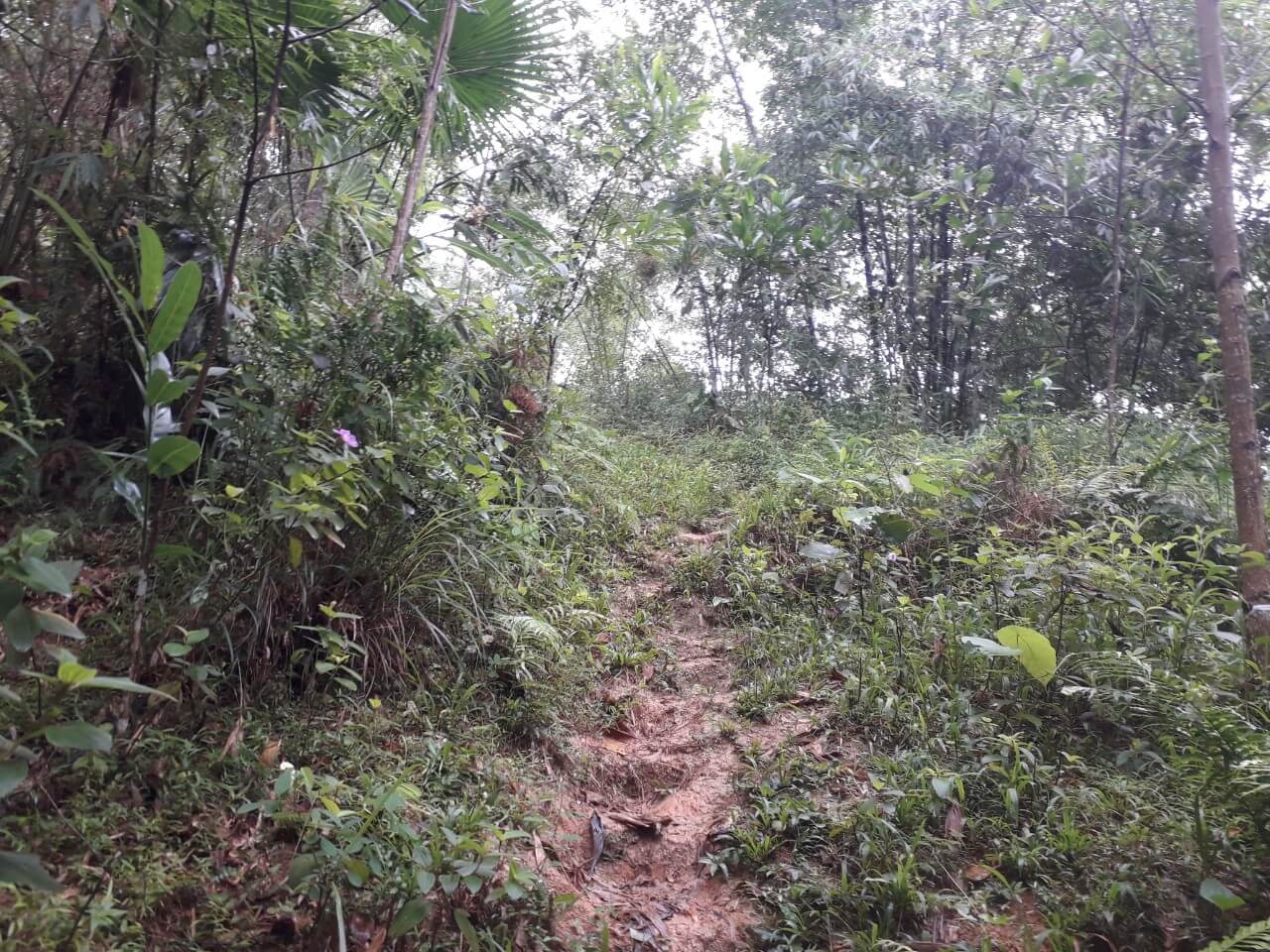 Sliperry trekking trail - uoi village